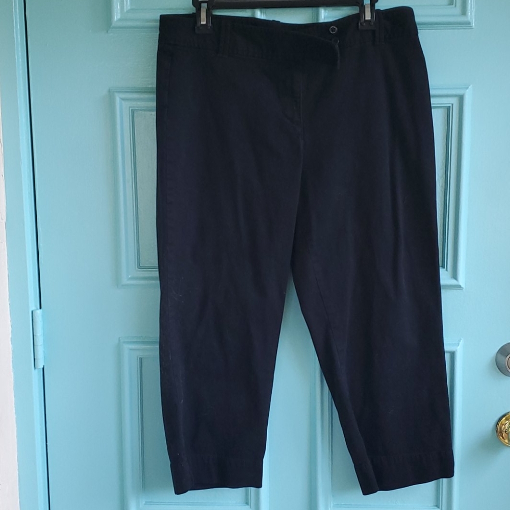 Loft Capris - image 1
